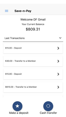 save-n-pay-Screenshot-B1-HomePage-Summary save-n-pay-Screenshot-B1-HomePage-Summary